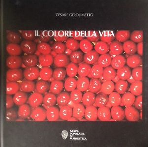 Il Colore Della Vita Cesare Gerolimetto Marostica Antiga Edizioni