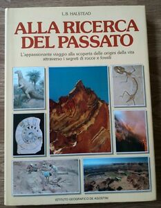 Alla Ricerca Del Passato. L'appassionante Viaggio Alla Scoperta Delle Orgini D