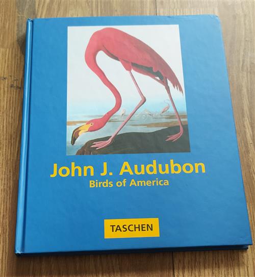 John James Audubon Birds Of America