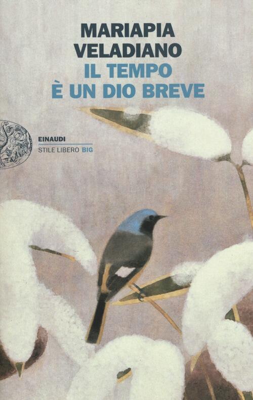 Il Tempo E Un Dio Breve Mariapia Veladiano Einaudi 2012