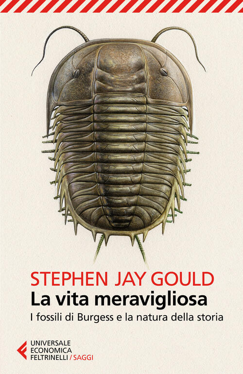 La Vita Meravigliosa. I Fossili Di Burgess E La Natura Della Storia Stephen Ja
