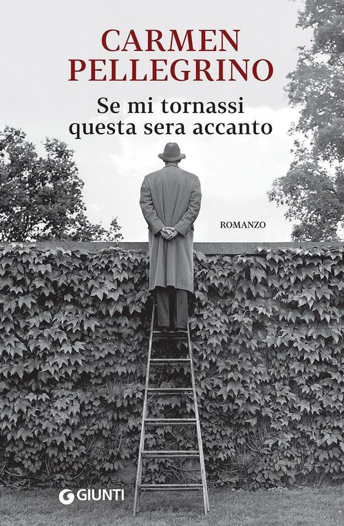 Se Mi Tornassi Questa Sera Accanto