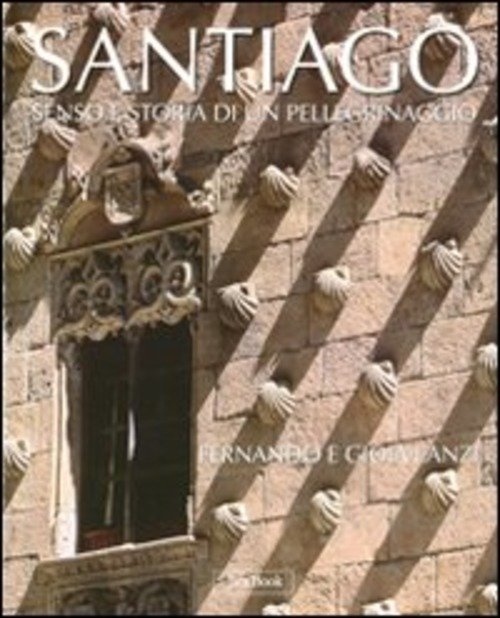 Santiago. Senso E Storia Di Un Pellegrinaggio
