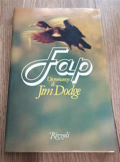 Fap .Un Romanzo