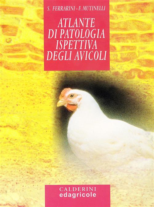 Atlante Di Patologia Ispettiva Degli Avicoli Stefano Ferrarini, Franco Mutinel