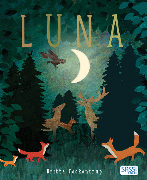 Luna. Ediz. A Colori Britta Teckentrup Sassi 2021