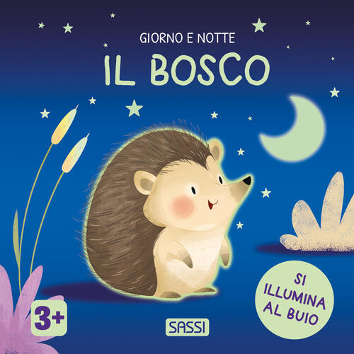 Il Bosco. Giorno E Notte Sassi 2026