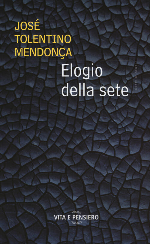 Elogio Della Sete Jose Tolentino Mendonça Vita E Pensiero 2018