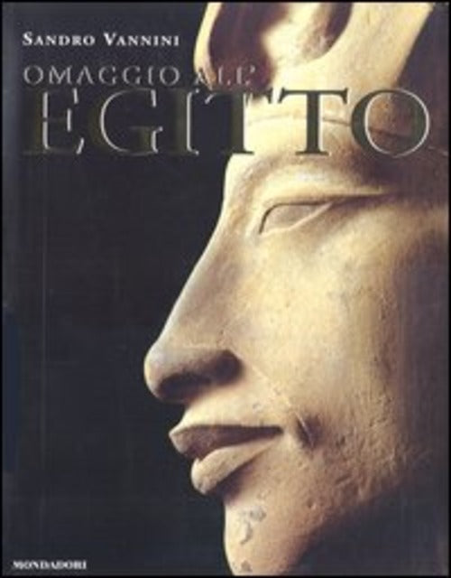 Omaggio All'egitto Sandro Vannini Mondadori Electa 2004