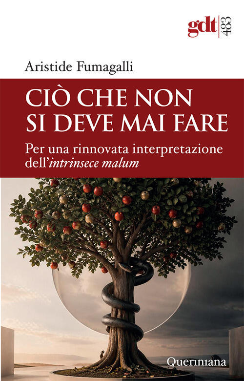 Cio Che Non Si Deve Mai Fare. Per Una Rinnovata Interpretazione Dell'intrinsec