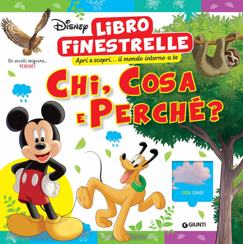 Chi, Cosa E Perche? Disney. Libro Finestrelle. Ediz. A Colori Disney Libri 202