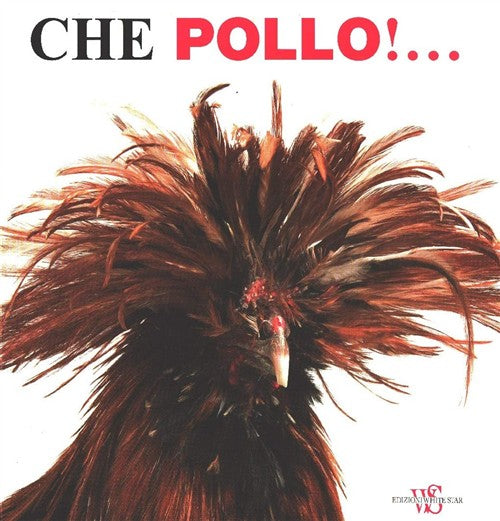 Che Pollo!.... White Star 2011