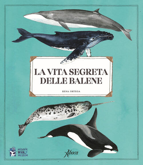 La Vita Segreta Delle Balene Rena Ortega Aboca Edizioni 2022