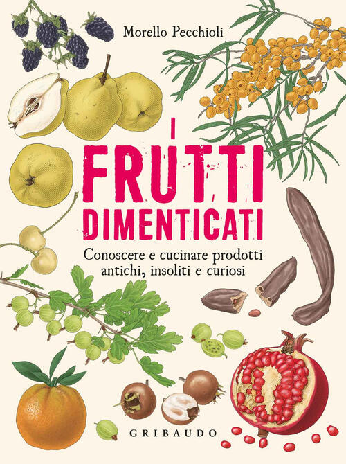 I Frutti Dimenticati. Conoscere E Cucinare Prodotti Antichi, Insoliti E Curios