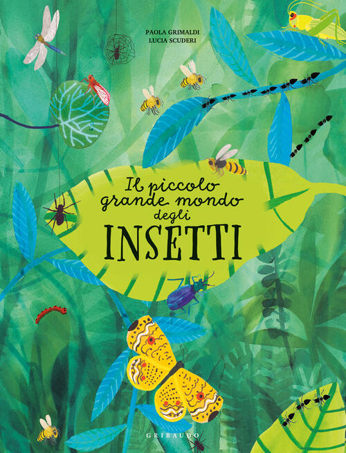 Il Piccolo Grande Mondo Degli Insetti Paola Grimaldi, Lucia Scuderi Gribaudo 2