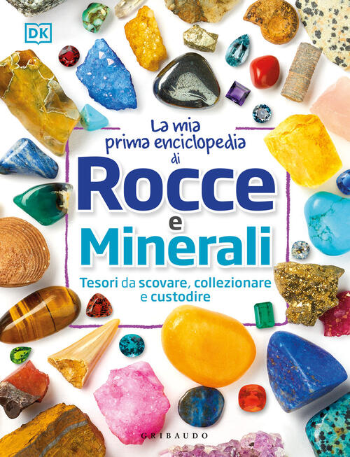La Mia Prima Enciclopedia Di Rocce E Minerali. Tesori Da Scovare, Collezionare