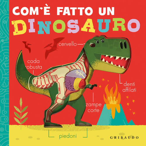 Com'e Fatto Un Dinosauro Gribaudo 2024