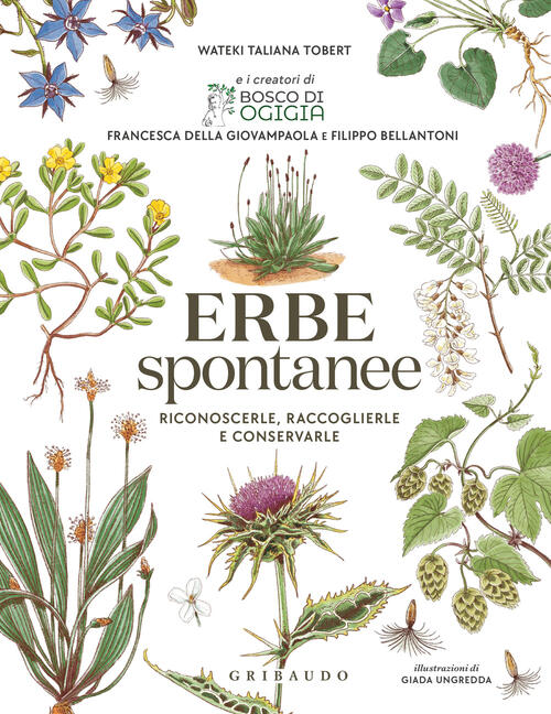 Erbe Spontanee. Riconoscerle, Raccoglierle E Conservarle Wateki Taliana Tobert