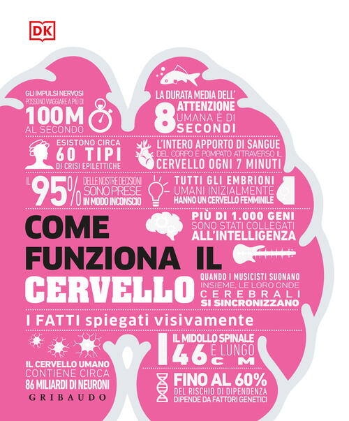 Come Funziona Il Cervello. I Fatti Spiegati Visivamente Gribaudo 2026