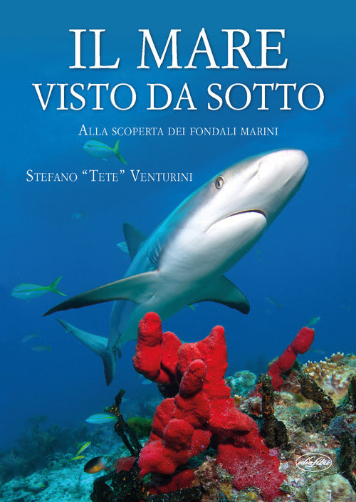 Il Mare Visto Da Sotto. Alla Scoperta Dei Fondali Marini