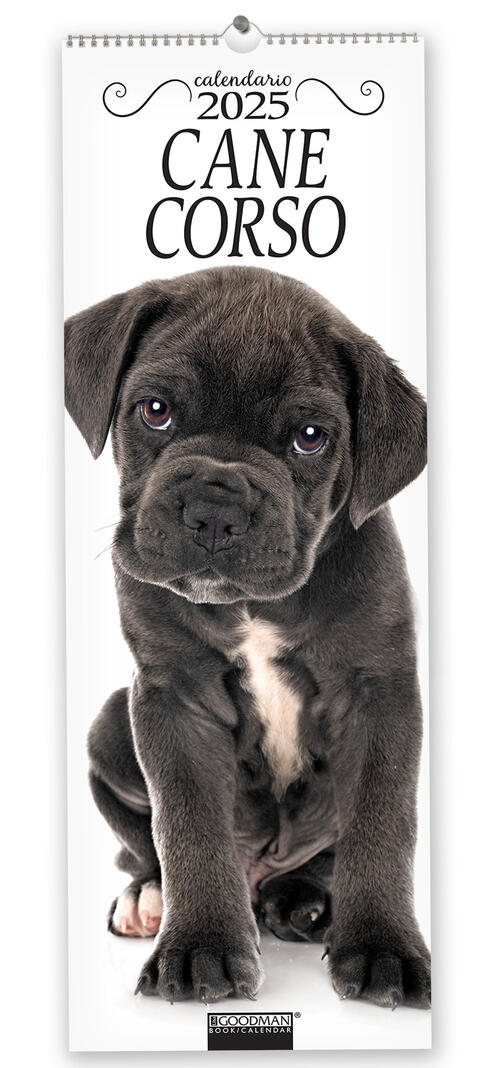 Cane Corso. Calendario 2025. Long Sprea Editori 2024