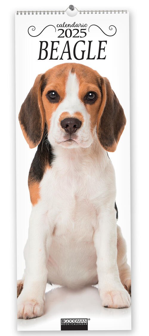 Beagle. Calendario 2025. Long Sprea Editori 2024