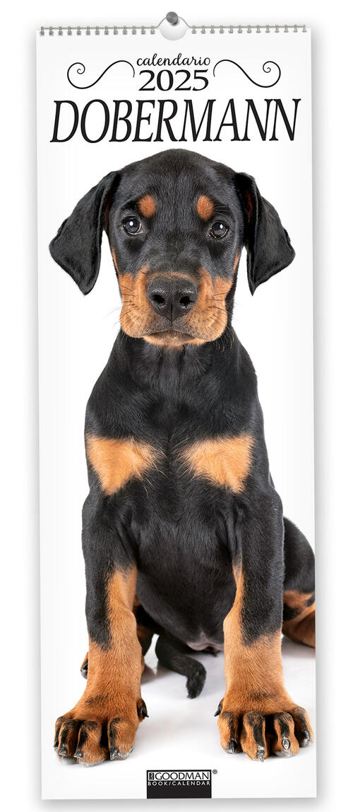 Dobermann. Calendario 2025. Long Sprea Editori 2024