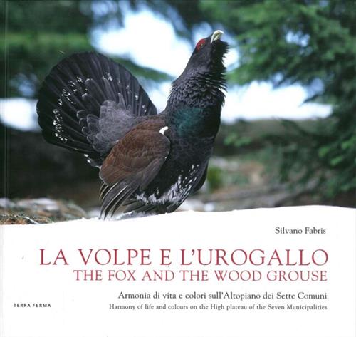 La Volpe E L'urogallo. Armonia Di Vita E Colori Sull'altopiano Dei Sette Comuni