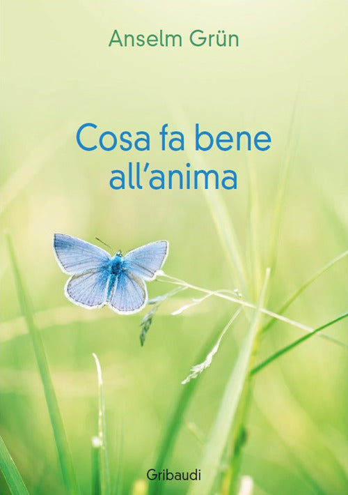 Cosa Fa Bene All'anima Anselm Grün Gribaudi 2017