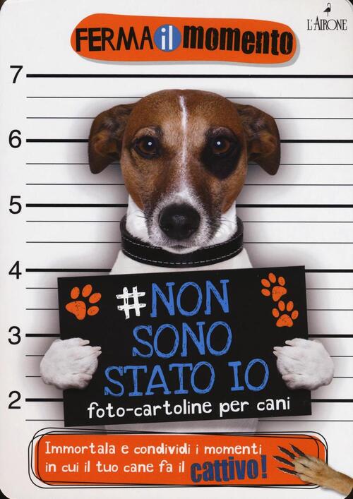 Non Sono Stato Io. Foto-Cartoline Per Cani L'airone Editrice Roma 2016