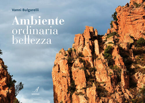Ambiente, Ordinaria Bellezza Vanni Bulgarelli Edizioni Artestampa 2022