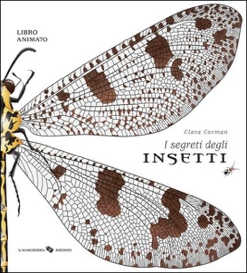 I Segreti Degli Insetti Clara Corman La Margherita 2020
