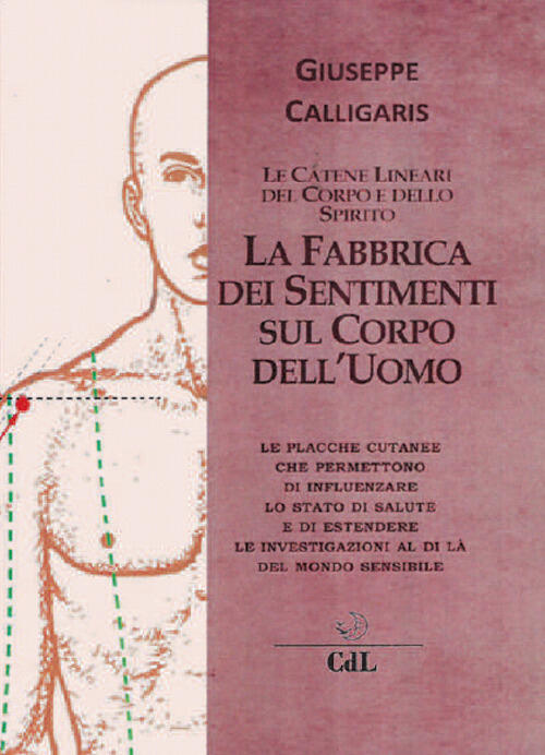 La Fabbrica Dei Sentimenti Sul Corpo Dell'uomo. Le Catene Lineari Del Corpo E