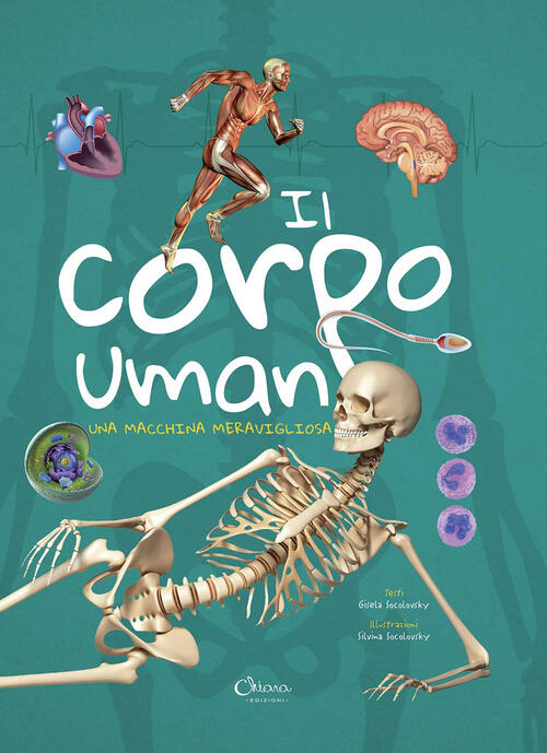 Il Corpo Umano. Una Macchina Meravigliosa Gisela Socolovsky Chiara Edizioni 20