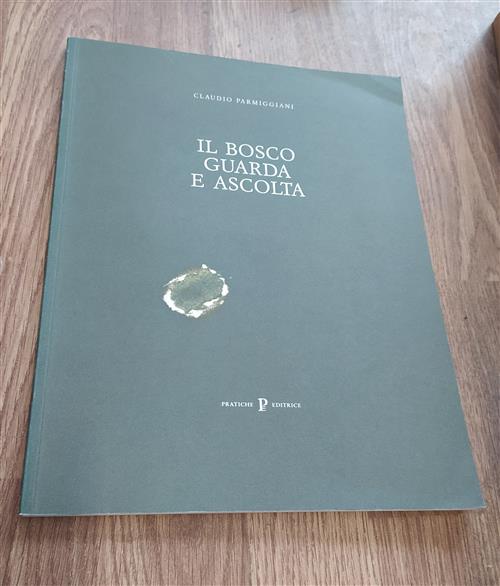Il Bosco Guarda E Ascolta