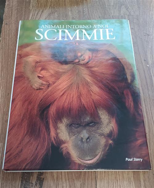 Scimmie