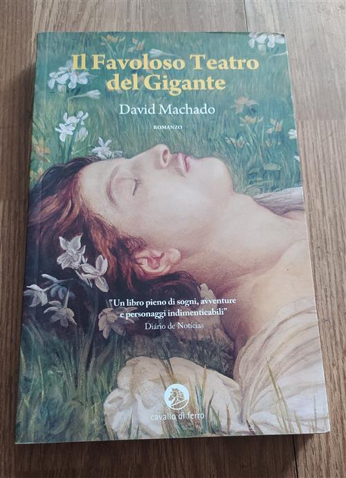 Il Favoloso Teatro Del Gigante