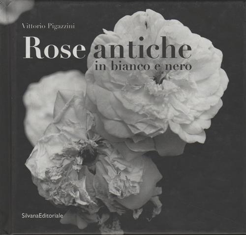 Rose Antiche In Bianco E Nero. Vittorio Pigazzini: Percorso Fotografico. Catal