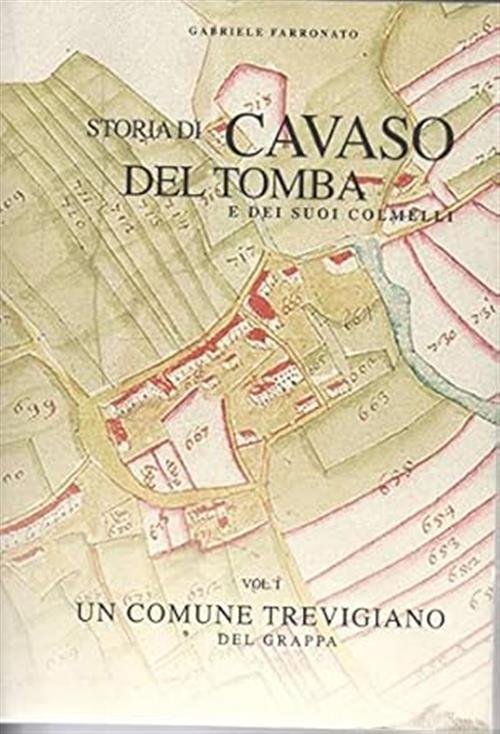 Storia Di Cavaso Del Tomba. La Storia Civile. Un Comune Trevigiano Del Grappa