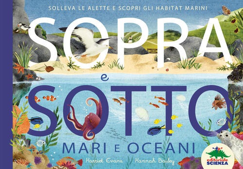 Sopra E Sotto. Mari E Oceani. Solleva Le Alette E Scopri Gli Habitat Marini Ha