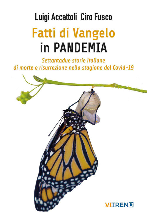 Fatti Di Vangelo In Pandemia. Settantadue Storie Italiane Di Morte E Risurrezi