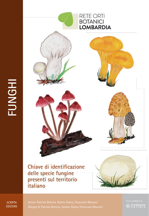 Funghi. Chiave Di Identificazione Delle Specie Fungine Presenti Nel Territorio