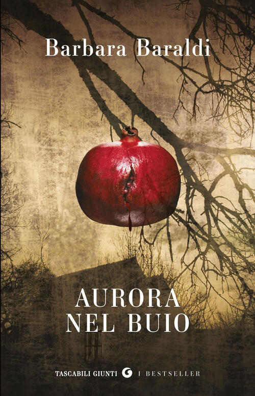 Aurora Nel Buio Barbara Baraldi Giunti Editore 2026