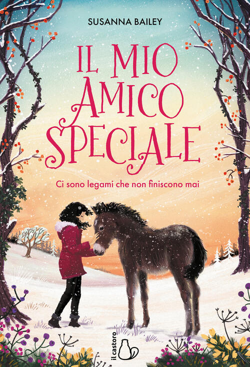 Il Mio Amico Speciale. Ci Sono Legami Che Non Finiscono Mai Susanna Bailey Il