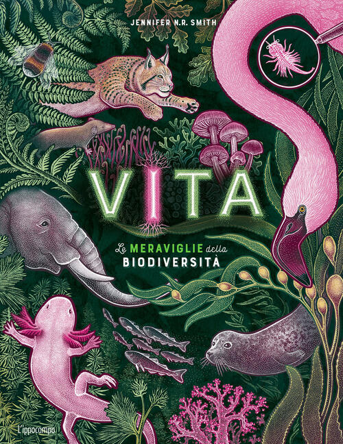 Vita. Le Meraviglie Della Biodiversita. Album Scoperte Jennifer Smith L'ippoca