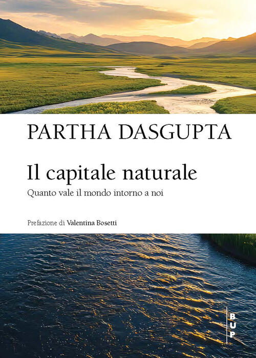 Il Capitale Naturale. Quanto Vale Il Mondo Intorno A Noi Partha Dasgupta Bocco