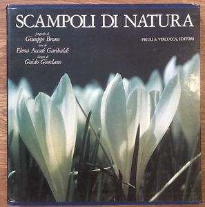 Scampoli Di Natura Giuseppe Bruno Elena Garibaldi Guido Giordano Priuli Verlucca