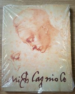 Michelangelo Entre Florenca E Roma