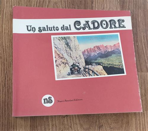 Un Saluto Dal Cadore. Vecchie Cartoline Della Raccolta Benito Pagnussat Fiorel