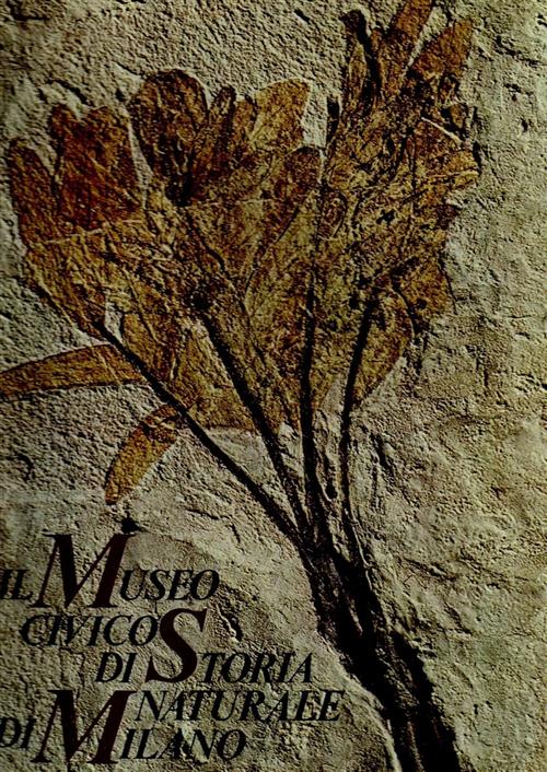 Il Museo Civico Di Storia Naturale Di Milano Cesare Conci Banca Popolare Di Mi